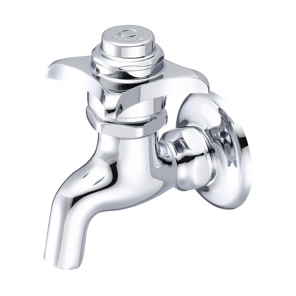 Self-Close Wallmount Faucet, NPT, Single Hole, Polished Chrome, Weight: 1.5